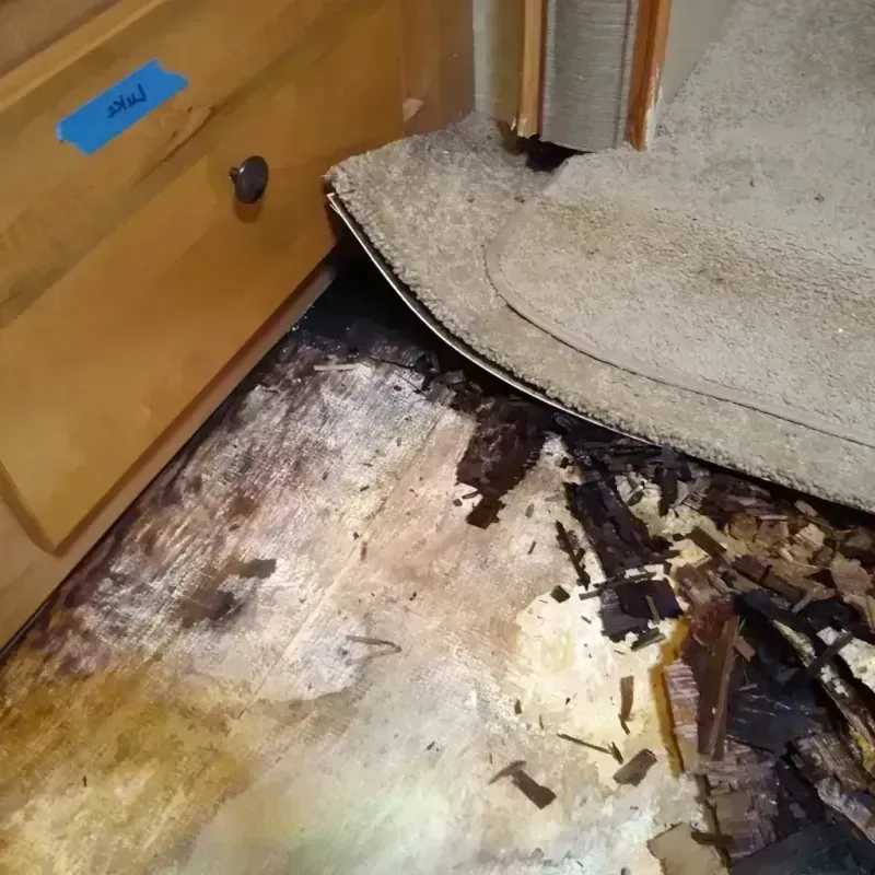 Best Wood Floor Water Damage Service in Waynesboro, PA